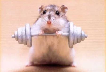 le sport